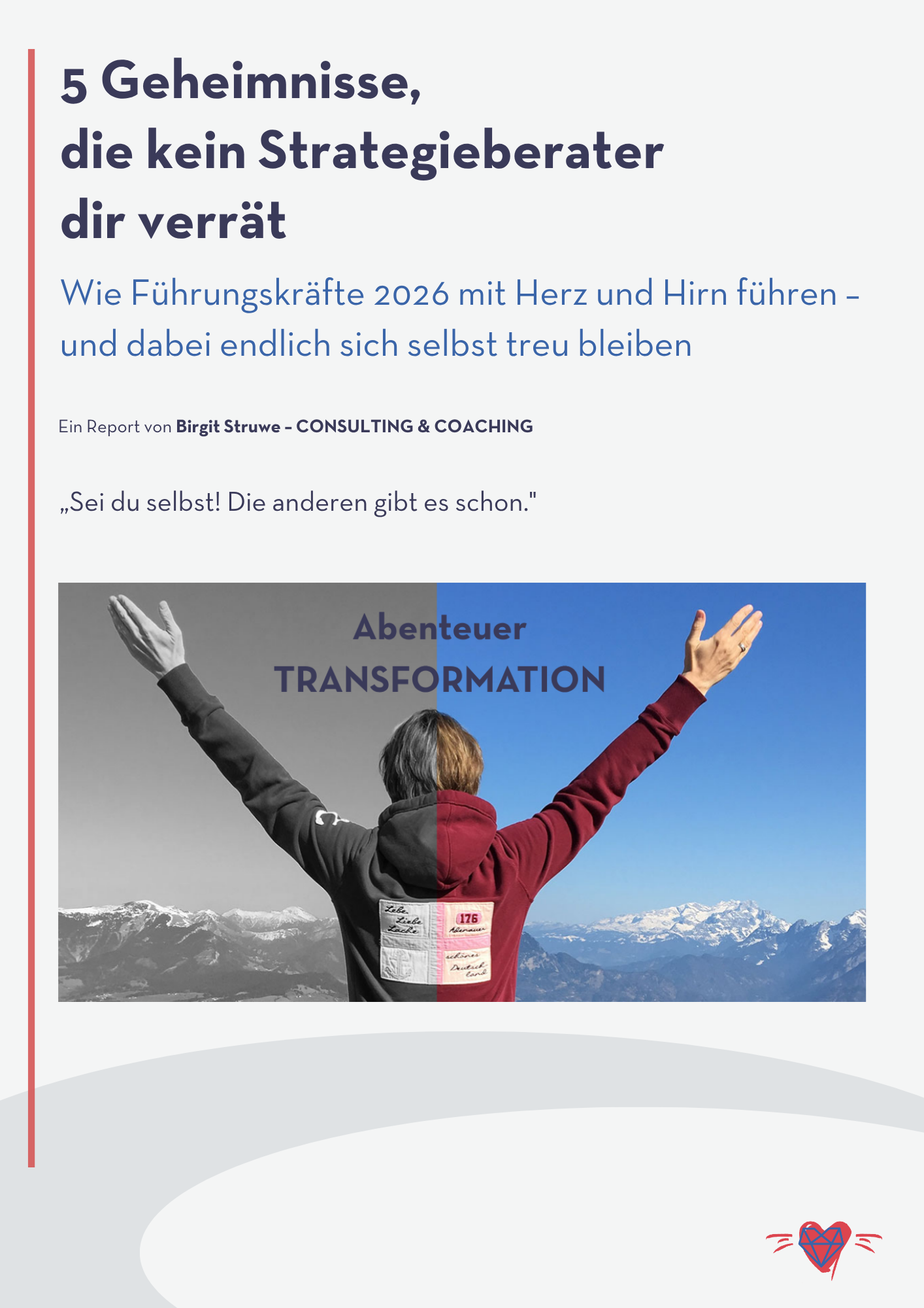 Cover des Reports '5 Geheimnisse, die kein Strategieberater dir verrät' von Birgit Struwe